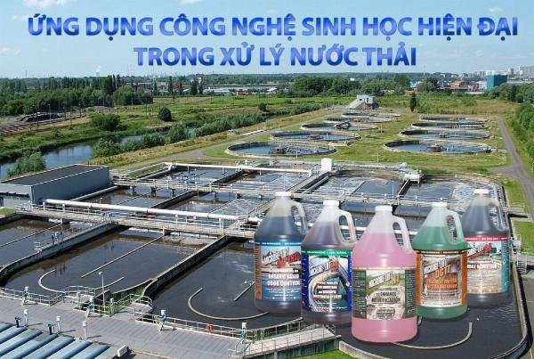 ung-dung-cong-nghe-sinh-hoc-xu-ly-nuoc-thai-tai-cho-chung-cu