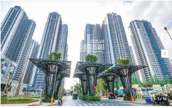 Dịch vụ thông tắc bồn cầu uy tín và chuyên nghiệp tại Goldmark City